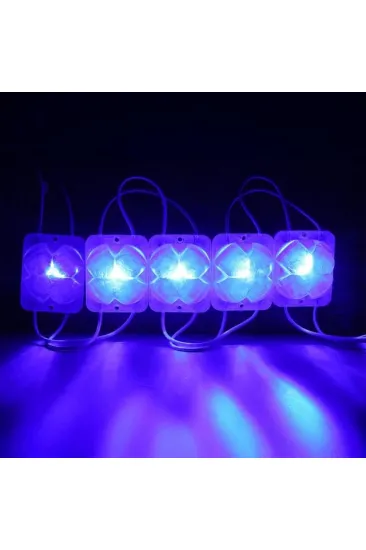 Powermaster 12 Volt 2 Watt Mavi Yanıp Sönen 4333-3030 Modül Led Powermaster 12 Volt 2 Watt Mavi Yanıp Sönen 4333-3030 Modül Led