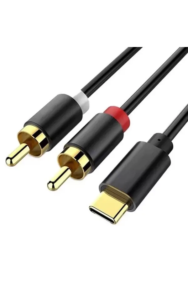 Powermaster Pm-29963 2xrca To Type-c 2 Metre Kablo